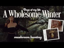 Come hunt mushrooms with me | Days of my life as a Yoga teacher Winter in my New Zealand beach cabin