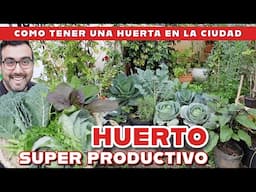 Huerta en la ciudad. Secretos para poder cultivar todo tipo de hortalizas en casa