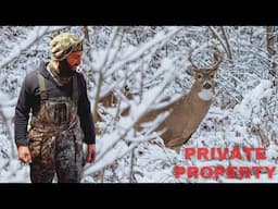 Bow Hunting Whitetail Deer on Private Property | Long Island, NY