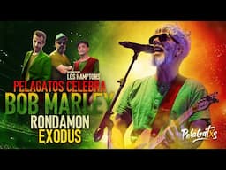 Rondamon - Exodus ft The Hamptons - PelaGatos Celebra Bob Marley #reggae