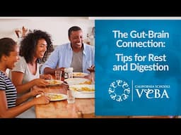 The Gut-Brain Connection: Tips for Rest and Digestion