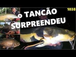 AS GRANDES PIRARARAS DO TANCÃO - FISHINGTUR NA TV 1038 no STA. ANASTÁCIA