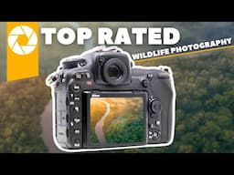 Top Budget Nikon Camera For Wildlife Photography