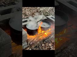 Day 5 of Maple Tapping Season: HOW TO MAKE MAPLE SYRUP!🤯   #maplesyrup #howto #homestead #wow