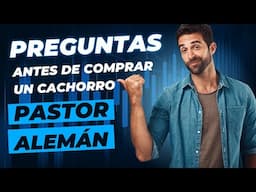 Preguntas para antes de comprar un cachorro de perro pastor alemán (22-3-2024)