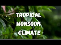 Tropical Monsoon Forests/UPSC Geography