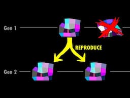 Jelly Evolution Simulator