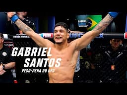 Conheça o brasileiro Gabriel "Mosquitinho" Santos | UFC 312