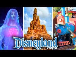 Disneyland Rides POV - February 2025 | 4K 60FPS