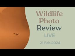 Wildlife Photo Review - LIVE