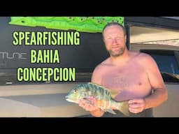 Truck Camping and Spearfishing for Dinner in Bahia Concepcion - Playa Los Cocos, Baja California Sur