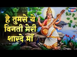 है तुम से ये विनती मेरी शारदे माँ | Hai Tumse Ye Vinti | Saraswati Mata Bhajan | Saraswati Mata Song