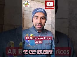 Birds latest prices 2025 #allparrots #latestprices #breedingtips