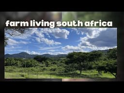 Update on our farm | Homesteading Millennials 2025 | Farm Living South Africa