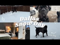 DALLAS SNOWDAY!! BIG SNOW STORE HITS MY TOWN | Watch my Dog fall in love with snow