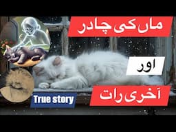 True story of cat and her mother love | Urdu |Hindi