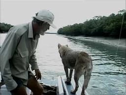 Malcolm Douglas - Australia - In Search Of The Big Barra (Part 2) 2000