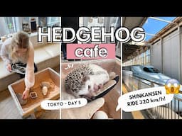 Hedgehog café | Free things to do in Tokyo | Shinkansen | Bullet train to Kyoto / JAPAN VLOG 5 🇯🇵