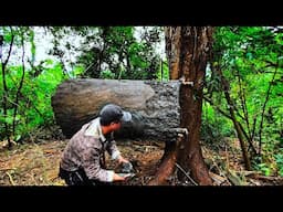 Build a shelter hanging from a warm tree trunk in the middle of the wild forest