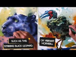 Working with black -  Black Leopard and Ground Hornbill Preview with Tom Shepherd