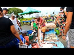 BIG FISH AT THE MARKET SHOPPING