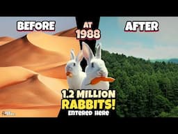 STOP Raising Camels in the Desert, Rabbits Are Better - China Proved it!