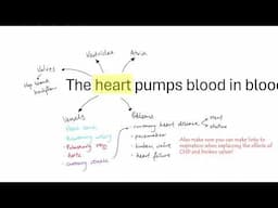 AQA GCSE - B4.1-4 Human circulatory system OVERVIEW