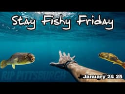 Stay Fishy Friday livestream  1/24/25