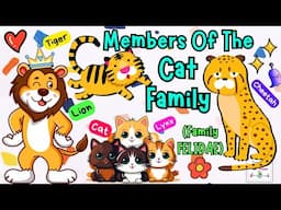 Wild Animals Song | Cat Family For Kids | Animals Cartoon For Kids | Learn Animal Names in English