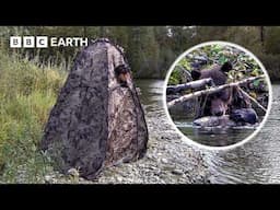 How NOT To Take On A Grizzly Bear At Fishing | BBC Earth Explore