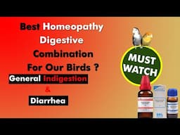 Best Bird's Digestive Homeopathy Combination ? By@santanubirdscare