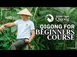 Qigong for Beginners: | Master the Fundamentals & Unlock Inner Power