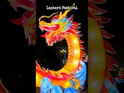 Lantern Festival in Hanoi, Vietnam | Vietnamese New Year | Tet Festival #lunarnewyear #vietnam