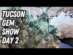 Tucson Gem Show Day 2 | 22nd Street & Red Lion Inn | Crystal Shop with me!