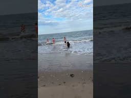 Beach Day or Zoomies Day? 😂 Rottweiler Turns the Shore Into a Comedy Show!