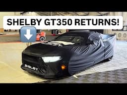 WOW! SHELBY GT350 is BACK for 2025/26 MUSTANG!