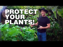 Essential Tips to Save Your Florida Garden from Arctic Blast