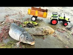 Fish helping with Tractor video part 2 | Tractor Video | Tractor Science Project | @Mini_Project