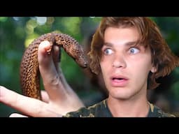 I Found an "EXTINCT" Earless Monitor! (Rarest Lizard On Earth)