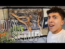 Building a Custom Leaf-Tailed Gecko Enclosure!! (36x18x36)