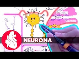 Sistema Nervioso - La neurona