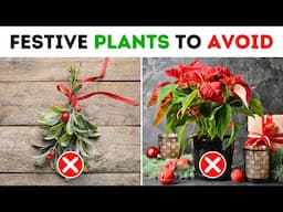 10 Festive Plants You Didn’t Know Could Poison Your Family ⚠️