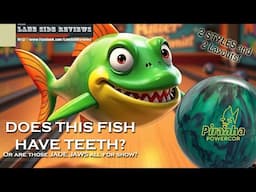 Does the new PIRANHA POWERCOR PEARL have Teeth, or does it just BITE?