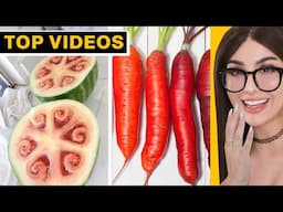 FOOD That Used to Look DIFFERENT | SSSniperWolf