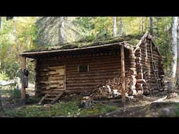 Best Friends Rebuild Log Cabin in Remote Alaska.