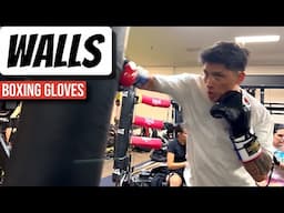 Heavy Bag Workout with Walls Fight Gear Boxing Gloves