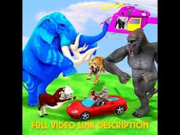 Cow Cartoon Elephant Funny Gorilla #LongSlide #Game #cartoon #mammoth #cow  @AnimalRevoltBattleTv