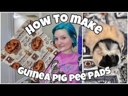 HOW TO MAKE GUINEA PIG PEE PADS✨🐽 | beginner friendly |