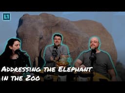 The Level1 Show January 31 2025: Addressing the Elephant in the Zoo