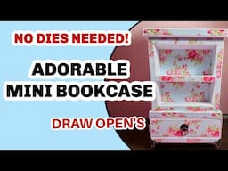 😮😍AMAZING MINI BOOKCASE!! NO DIES!😲